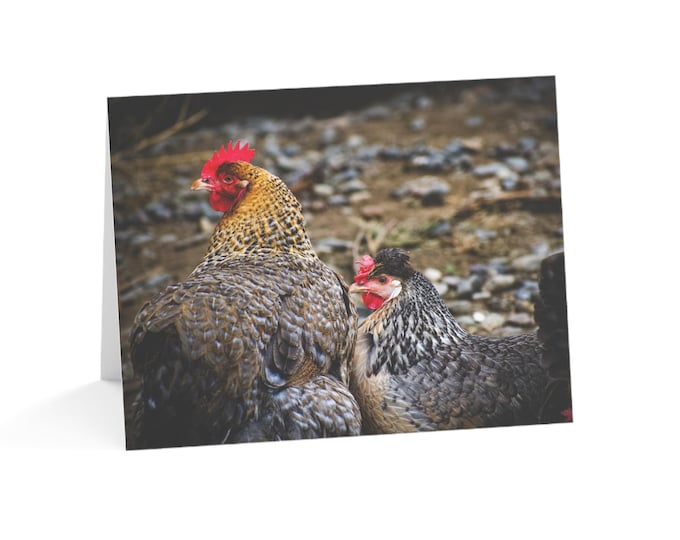 Chicken Greeting Cards | Set of 10 Cards | Blank Notecards