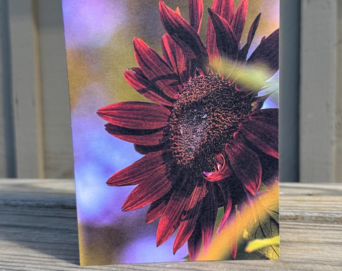 Burgundy Sunflower Greeting Cards Set of 10 | Floral Notecards | Botanical Stationery with Envelopes