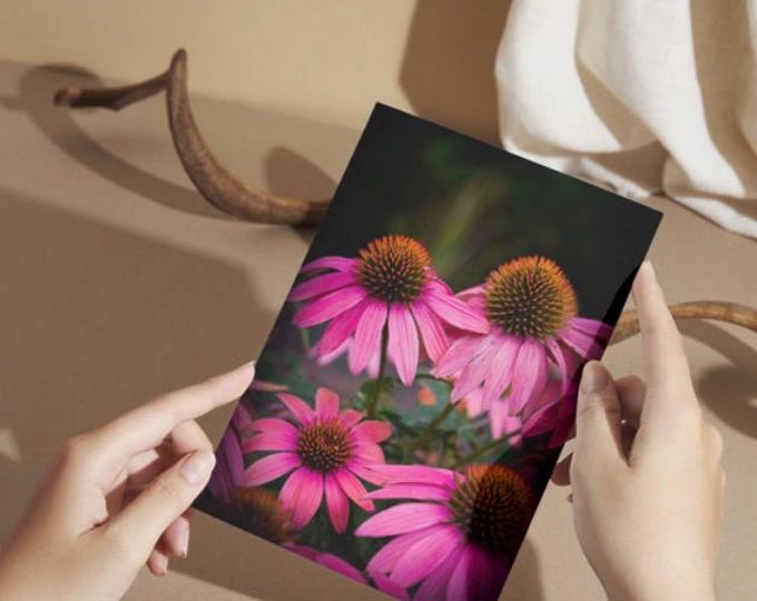 Pink Echinacea Floral Greeting Cards | Botanical Stationery Set (10 Cards + Envelopes)