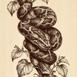 May include: A detailed brown and black ink illustration of a snake coiled tightly around a textured tree branch. The snake has a visible tongue extending from its mouth, and the branch is adorned with several small, detailed leaves.