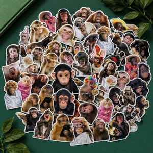 Puede incluir: Una gran colección de pegatinas troqueladas que muestran varios monos y chimpancés en diversas poses, expresiones y atuendos. Algunos monos llevan sombreros, gafas o ropa colorida, mientras que otros aparecen comiendo o sosteniendo objetos.
