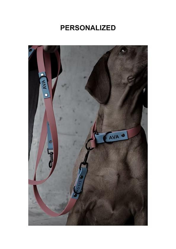 Waterproof Dog Collar Two-color - Etsy