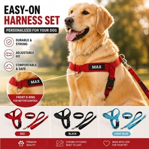 Personalisiertes Hundegeschirr-Set, Easy-On, Anti-Zug-System mit Leine