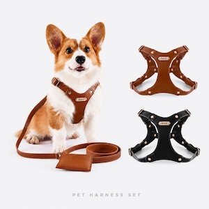 May include: A brown leather dog harness with a matching lead and waste bag holder, worn by a Corgi. The harness features a gold-toned nameplate engraved with the text MAX. Two additional harnesses in brown and black are shown separately.