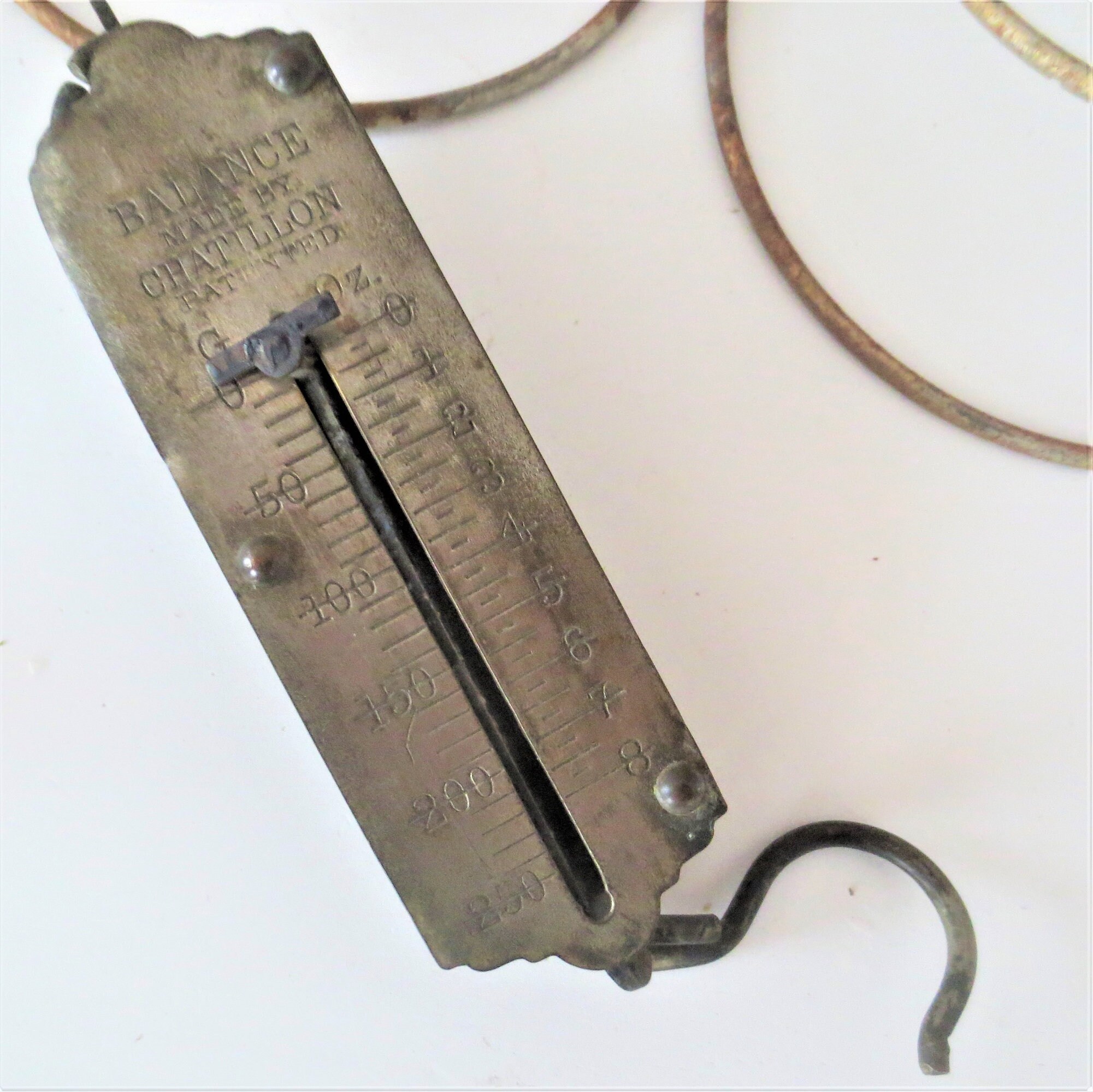 Hanging scale cheap grams
