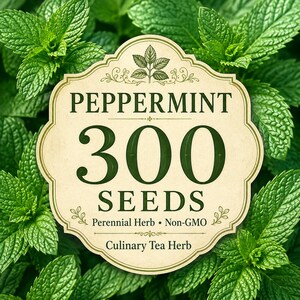 May include: A cream-colored, scalloped-edge label featuring the text PEPPERMINT 300 SEEDS, Perennial Herb, Non-GMO, and Culinary Tea Herb, centered over a background of vibrant green, textured peppermint leaves with visible serrated edges.