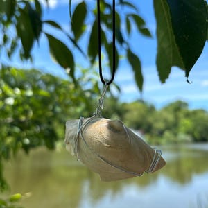 Elder Clam Necklace