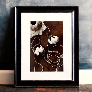 Cotton and Twine Still Life, Modern Farmhouse Wall Decor