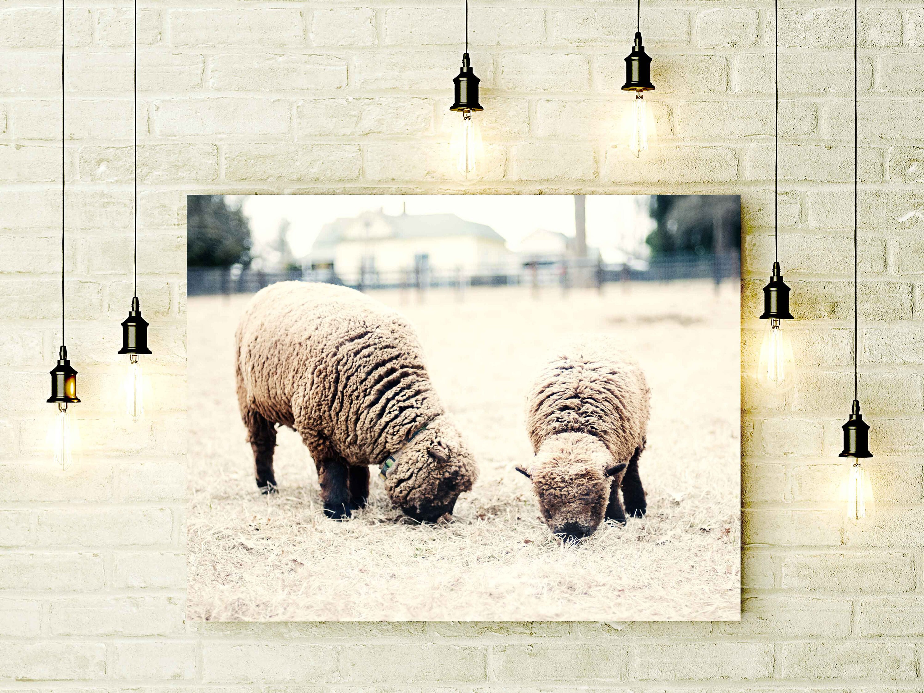 Sheep Wall Art Nursery Decor Modern Farmhouse Decor Etsy