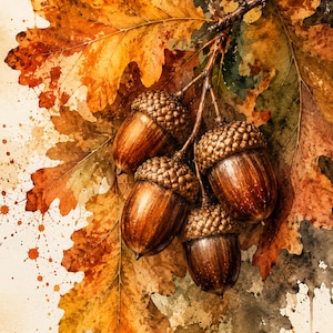 May include: A watercolour illustration of four brown acorns with textured caps attached to a twig, surrounded by large, serrated oak leaves in shades of orange, yellow, and deep brown, featuring paint splatters and drips on a light background.