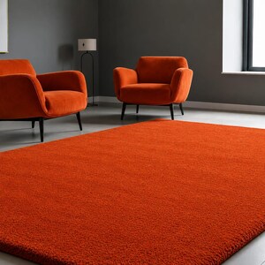 May include: A rectangular, solid burnt orange area rug with a dense, plush, shaggy texture. The rug features a uniform, deep orange colour throughout its entire surface, providing a soft and thick pile appearance that covers the floor space.