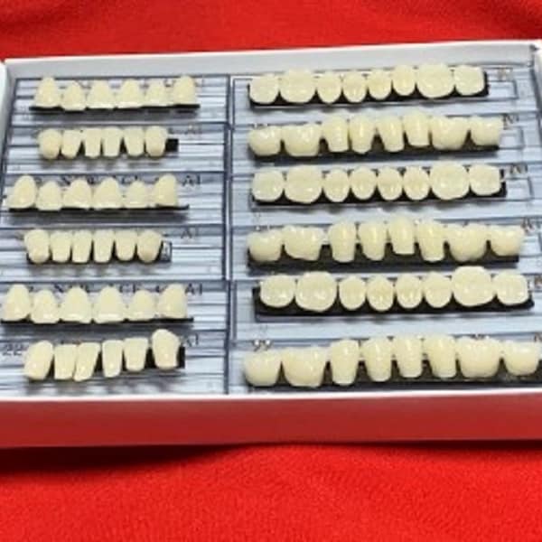 3 ensembles/12 cartes de dents en résine acrylique teinte A1 taille 22.