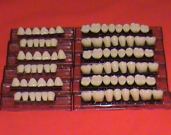 12 card of Acrylic/Resin Teeth, Shade A2  Size 22