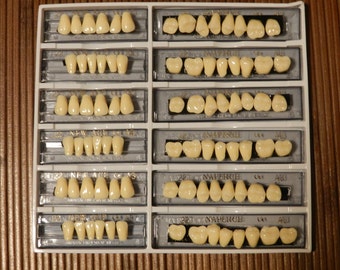 12 card of Acrylic Resin Teeth Shade  A3, Size 22