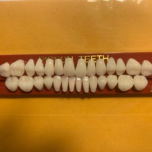 Pigeon (Child Size) Teeth