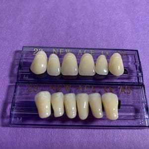 May include: Two rows of six artificial teeth in a clear plastic tray. The top row is labeled "22 NEW ACE C A3" and the bottom row is labeled "23 NEW ACE C A3".