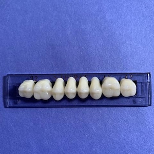 May include: A set of eight artificial teeth arranged on a dark blue plastic tray. The teeth are a creamy white color and appear to be dental veneers or a similar product used in cosmetic dentistry. The background is a solid blue.