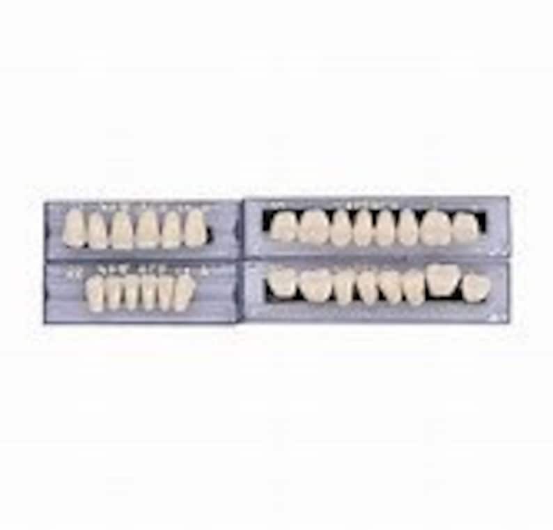 One Complete Set of Acrylic Resin Denture/false Teeth. Etsy
