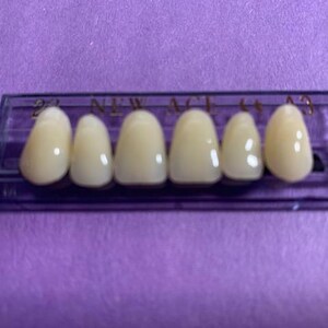 One Upper Card of Anterior Teeth Shade A3 Size 22