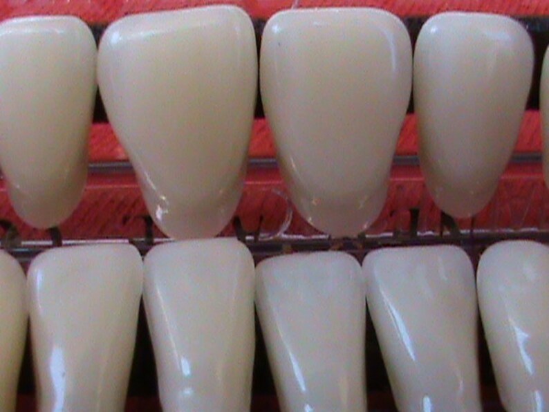 12 Card of Acrylic Resin Teeth Shade A3 Size 22 Etsy