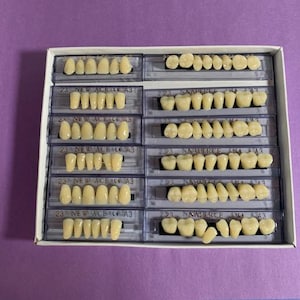 12 dents en résine acrylique, teinte A3, taille 22