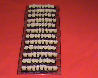 Six Sets of Posterior Teeth Shade A2, Size 22! Shipped from the USA!