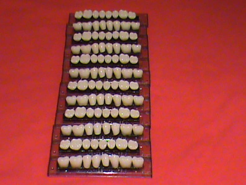 Six Sets of Posterior Teeth Shade A2, Size 22 Shipped From the USA Etsy