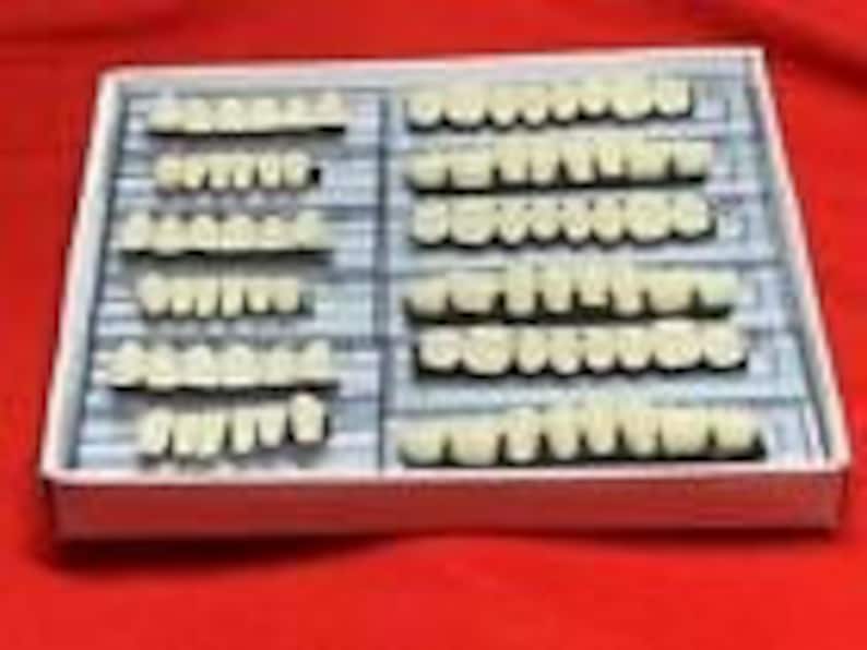 12 Cards/ 3 Complete Sets of ACRYLIC Denture Teeth Shade A2 Size 24 USA SHIP image 1