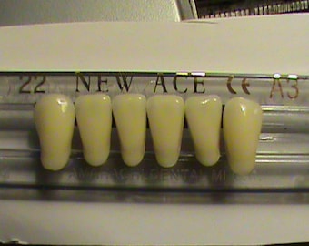 Teeth - Lower set of Anterior Front Teeth Made of Acrylic Resin Shade A2
