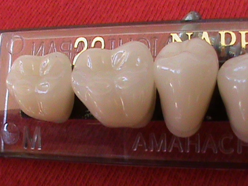 3 Sets of Posterior Acrylic/resin Teeth Shade A2 Size 22 Etsy UK
