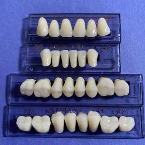 May include: Four rows of artificial teeth in a clear plastic tray. The teeth are arranged in a row and are all the same size and shape. The tray is labeled with the text "22 NEW AGE A2" and "22 NAPERCE A2".