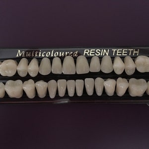 Full mouth set of 3 layer acrylic resin teeth, size 23, shade 2