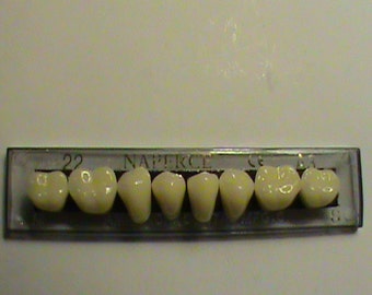 Teeth - 8 Lower Posterior Acrylic Resin Teeth Shade A2 Size 22