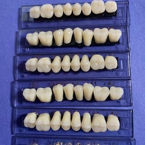 3 sets of  Posterior Acrylic/Resin Teeth Shade A2  Size 22