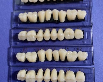 3 sets of  Posterior Acrylic/Resin Teeth Shade A2  Size 22