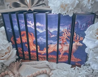 Throne of Glass Special Edition Dust Jackets – Sarah J. Maas Fantasy Art