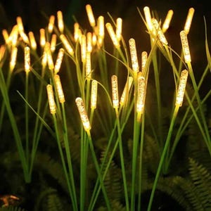 Peut inclure: Un ensemble de lumières décoratives de jardin composé de fines tiges vertes surmontées d'embouts cylindriques en verre texturé diffusant une lueur dorée et chaude. Les lumières sont disposées en grappe, créant un effet lumineux rappelant l'herbe.