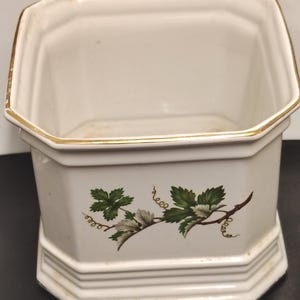 Pode incluir: Um vaso ou recipiente hexagonal de cerâmica branca com uma borda dourada e uma base com molduras em degraus. A parte frontal apresenta uma ilustração botânica de folhas de videira verdes e gavinhas castanhas sobre fundo branco.