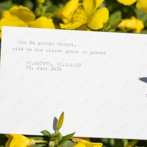 K&ouml;nnte beinhalten: Eine wei&szlig;e rechteckige Karte mit schwarzem Schreibmaschinentext: Was Du gerade siehst, wird es nie wieder genau so geben! 47.667919, 15.260327 19. Juni 2026. Die Karte ist vor einem Hintergrund aus leuchtend gelben Bl&uuml;ten positioniert.