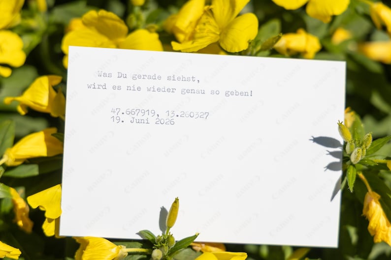 K&ouml;nnte beinhalten: Eine wei&szlig;e rechteckige Karte mit schwarzem Schreibmaschinentext: Was Du gerade siehst, wird es nie wieder genau so geben! 47.667919, 15.260327 19. Juni 2026. Die Karte ist vor einem Hintergrund aus leuchtend gelben Bl&uuml;ten positioniert.