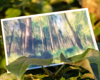 Landschaftsfotografie »Wald am Untersberg / Koordinaten des Jetzt« · handgefertigt