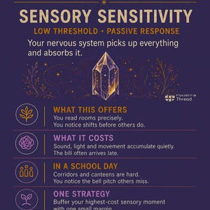 The Neurodivergent Staffroom: The Sensory Profiling System image 3