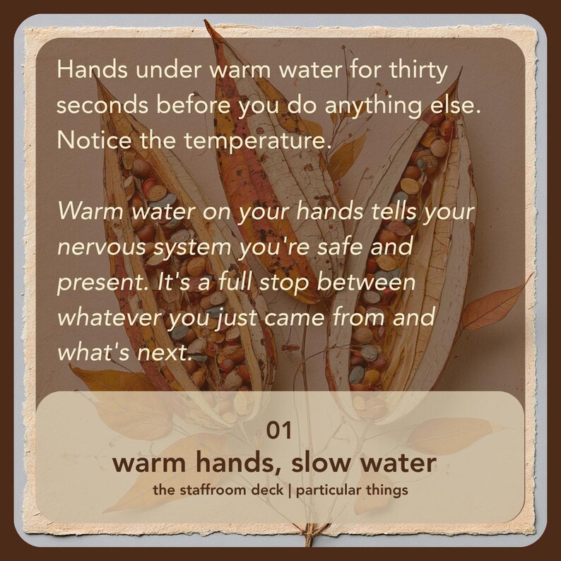 The Staffroom Deck: 50 Card Teacher Wellbeing Deck image 3