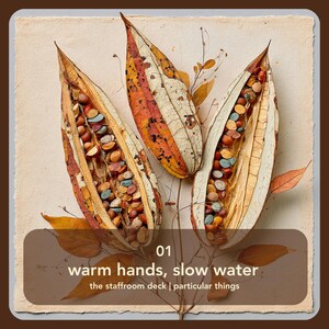 The Staffroom Deck: 50 Card Teacher Wellbeing Deck image 2