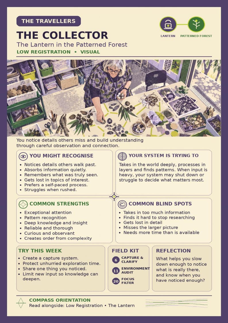The Neurodivergent Staffroom: The Sensory Profiling System image 4