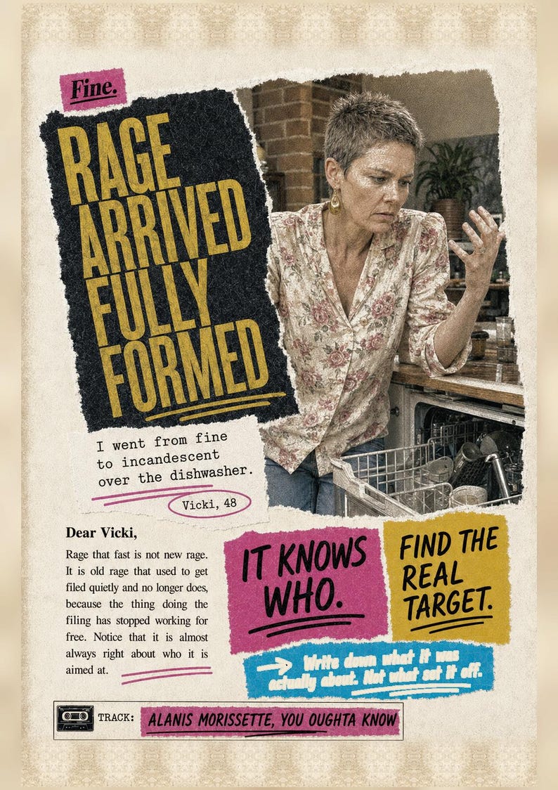 May include: A poster featuring a person with short hair wearing a floral shirt, standing by an open dishwasher. Text includes: Fine. RAGE ARRIVED FULLY FORMED. I went from fine to incandescent over the dishwasher. Vicki, 48. IT KNOWS WHO. FIND THE REAL TARGET. TRACK: ALANIS MORISSETTE, YOU OUGHTA KNOW.