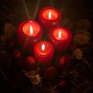 May include: Four cylindrical red pillar candles with lit wicks, arranged in a cluster. The candles are surrounded by scattered red and white dried flower blossoms and thin, fibrous brown material, creating a dark, warm, and glowing atmosphere.