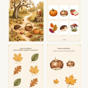 May include: A set of 15 educational autumn-themed activity sheets for children featuring illustrations of a garden, pumpkins, hedgehogs, squirrels, mushrooms, and various leaves. The pages include text in German such as Bei Nelli im Herbstgarten.