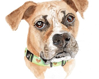 Custom Dog Portrait Illustration