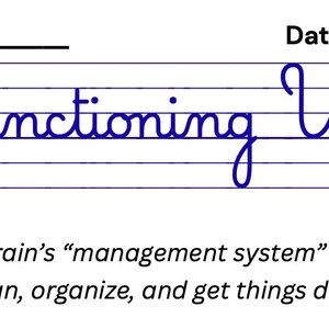 Executive Functioning Word Search